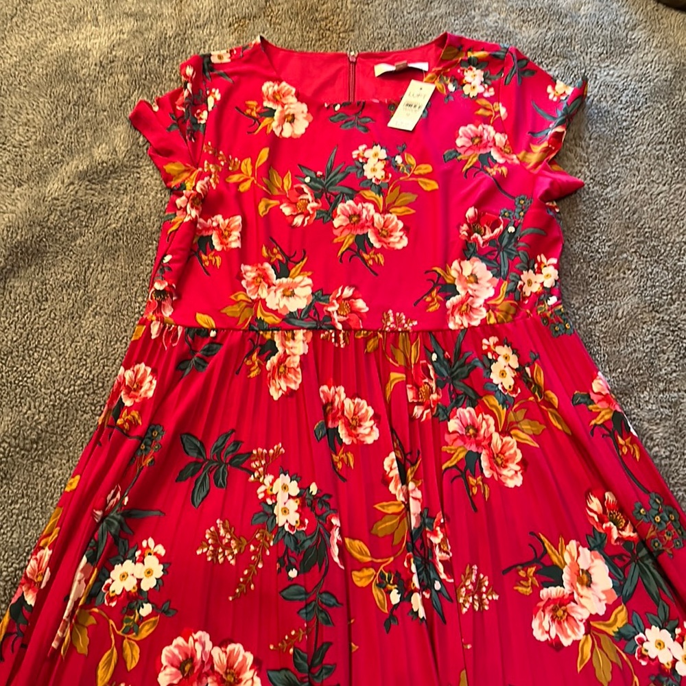 NWT Loft Pink Floral Dress